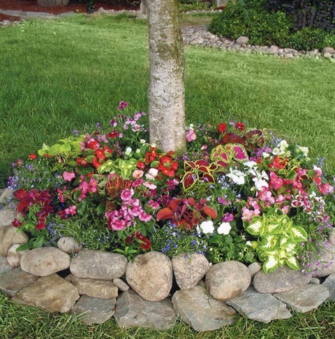 #0043 Shady Annual Tree Ring - 2 Pack