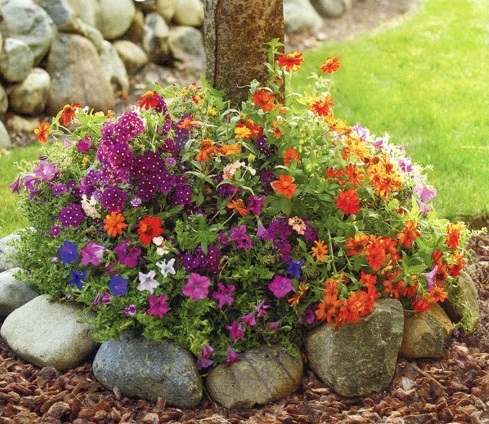 #0042 Sunny Tree Ring - 2 Pack