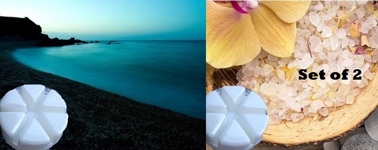 #9144 Sea Salt Orchid & Black Sea Wax Melt Set of 2